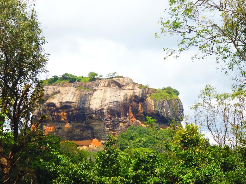 The Nilmini Lodge Sigiriya Luaran gambar