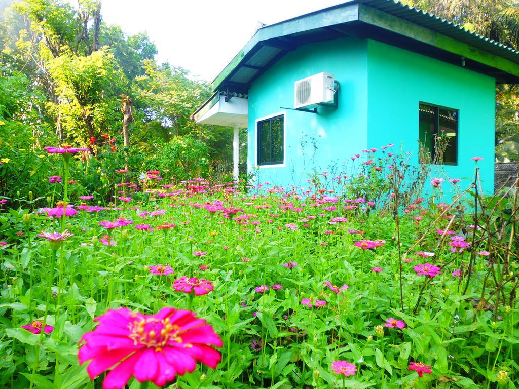 The Nilmini Lodge Sigiriya Bilik gambar